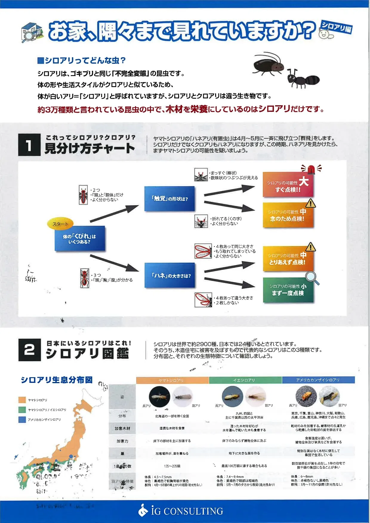 お家のメンテナンスしませんか?